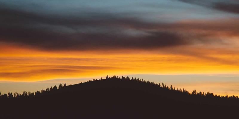 P4可编程数据平面：解锁企业数字化转型的下一代SDN深度定制能力