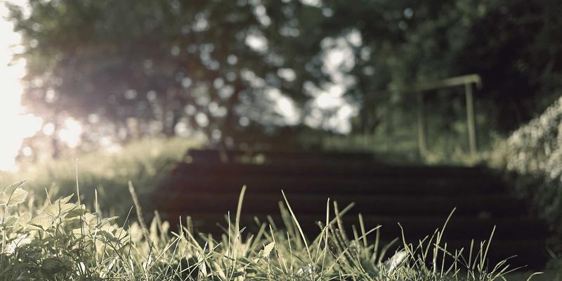 从手动配置到智能驱动:基于意图的网络(IBN)如何重塑网络自动化运维新范式