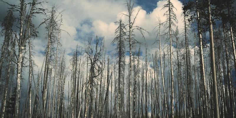 网络数字孪生：用HLKEN技术构建虚拟映射，开启网络规划、仿真与运维的智能革命