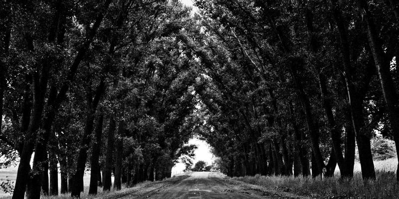 网络虚拟化技术：数据中心资源优化的革命性力量，如何赋能网站开发与网络安全