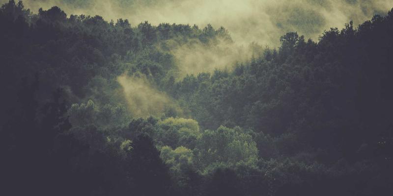 赛博朋克时代的编程艺术：SDN如何重塑云计算的网络安全防线